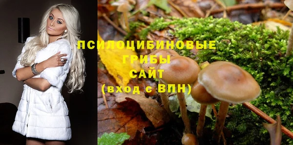 стаф Сясьстрой