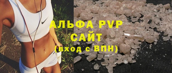стаф Сясьстрой