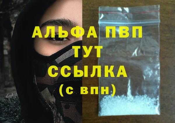 стаф Сясьстрой