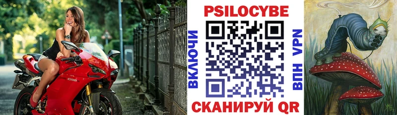 KRAKEN как зайти  сколько стоит  Харовск  Псилоцибиновые грибы Psilocybe 